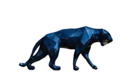 Panther Mauritius Blue