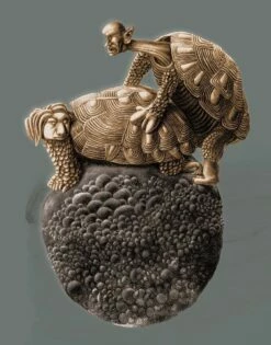 Forme Di Amare II - L'amore Tra Le Tartarughe