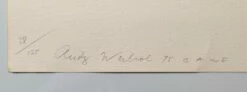 Ladies And Gentlemen II.133 -DEODATO Saldi andy warhol ladies and gentlemen n.133 retro serigrafia 110 8x73 2cm 1975 firmata 300