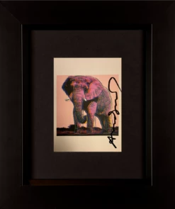 African Elephant - Invitation Card