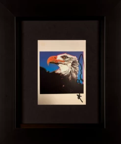Bald Eagle - Invitation Card
