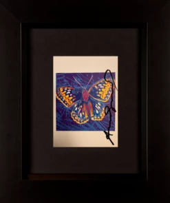 San Francisco Silverspot - Invitation Card