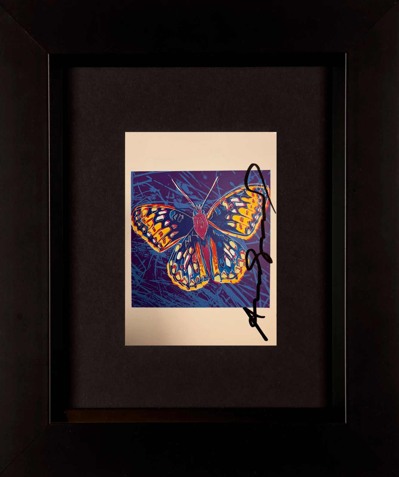 San Francisco Silverspot - Invitation Card 3 San Francisco Silverspot - Invitation Card