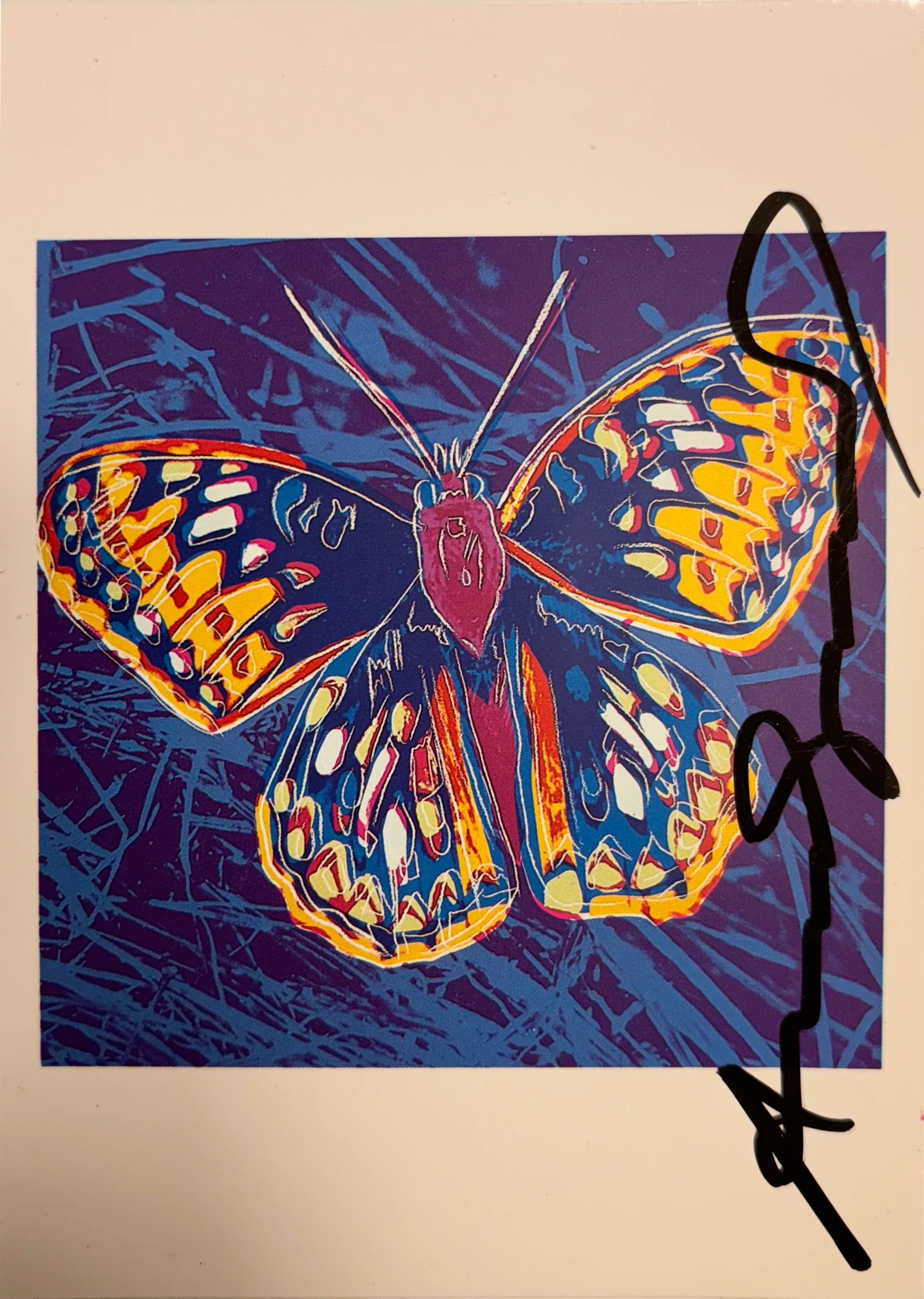 San Francisco Silverspot - Invitation Card 4 San Francisco Silverspot - Invitation Card - immagine 2