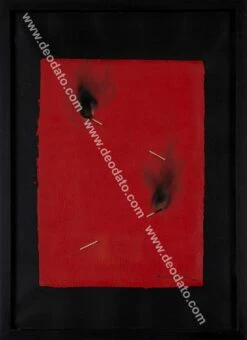 Foglio Rosso Bruciato N°211