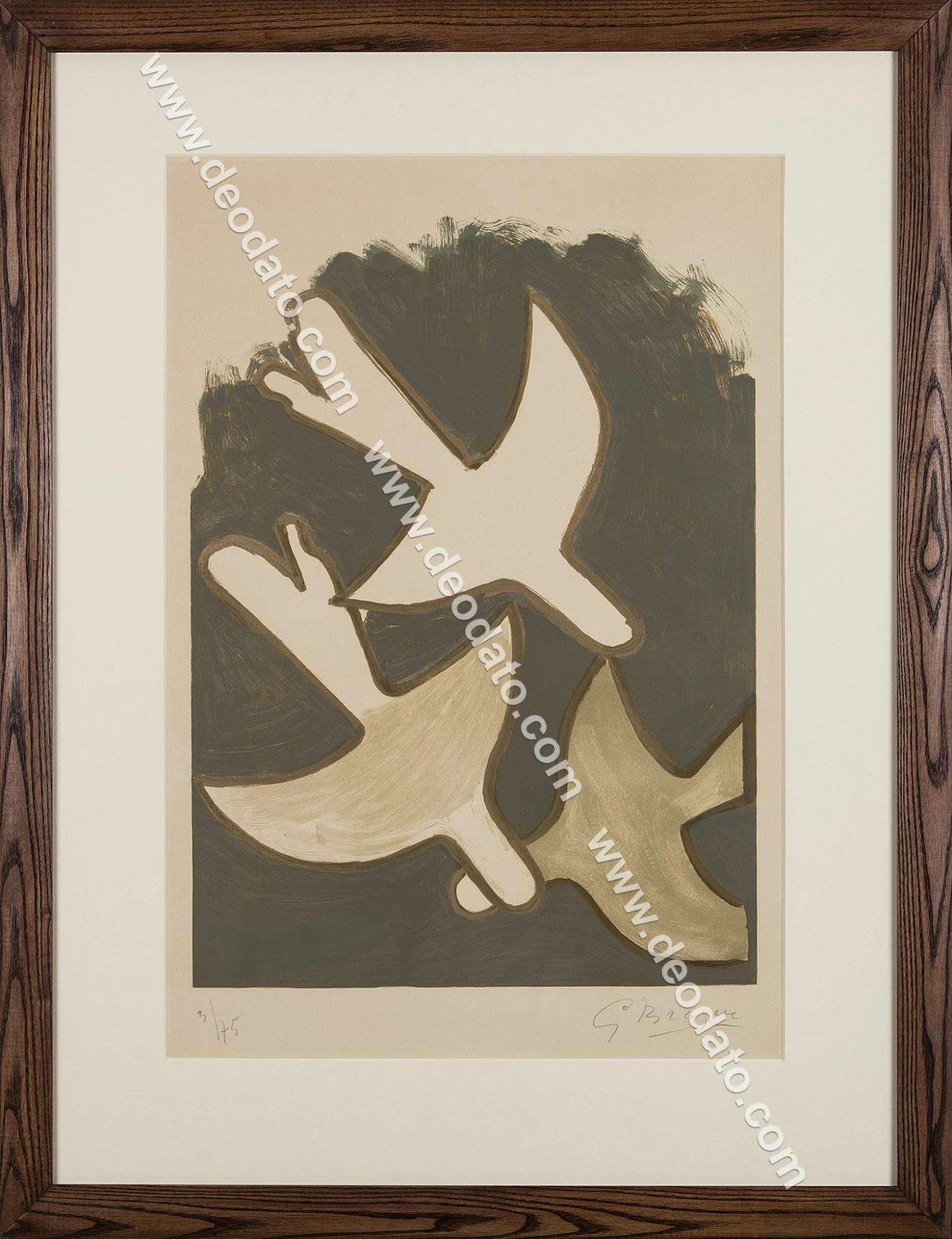 Gli Uccelli Bianchi 4 Gli Uccelli Bianchi - immagine 2