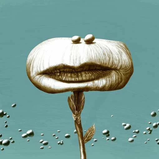 Conversazioni In Giardino 3 Conversazioni In Giardino