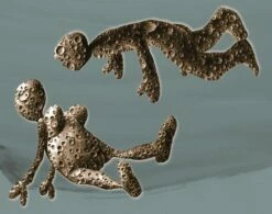 Forme Di Amare I - Love Between Celestial Bodies