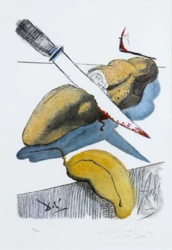 Salvador Dali Casanova Tavola 8