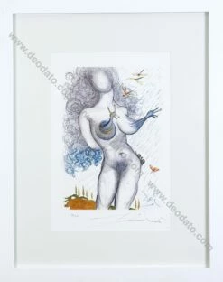 Salvador Dali Casanova Tavola 13 -DEODATO Saldi dali salvador casanova tavola 13 incisione su carta 47x32 3cm mg 0751 vista cornice 2000x72dpi