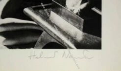 Mannequins, Quai D'Orsay II, 1977 -DEODATO Saldi helmut newton mannequins quai d orsay ii 1977 firma