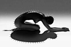 Liskula Cohen (New York), 2011