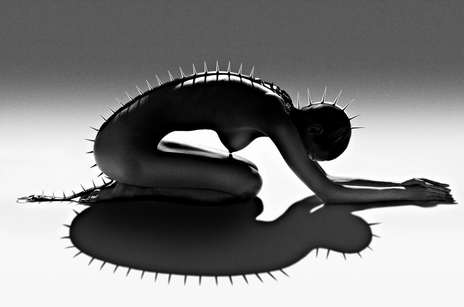 Liskula Cohen (New York), 2011 3 Liskula Cohen (New York), 2011