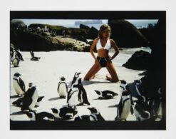 Fashion Photoshoot IV