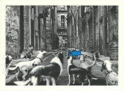 Alley Dogs - Set Completo 10 Alley Dogs - Set Completo -DEODATO Saldi mr. brainwash alleydogs blue 22x30 ep22 p 1