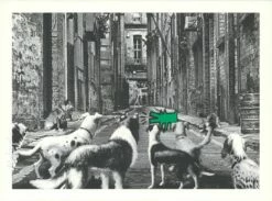 Alley Dogs - Set Completo 11 Alley Dogs - Set Completo -DEODATO Saldi mr.brainwash alleydogs green 22x30 ep22 p 1