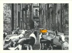 Alley Dogs - Set Completo 12 Alley Dogs - Set Completo -DEODATO Saldi mr.brainwash alleydogs orange 22x30 ep22 p 1