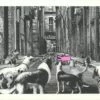 Alley Dogs - Rosa -DEODATO Saldi mr.brainwash alleydogs pink 22x30 ep22 p
