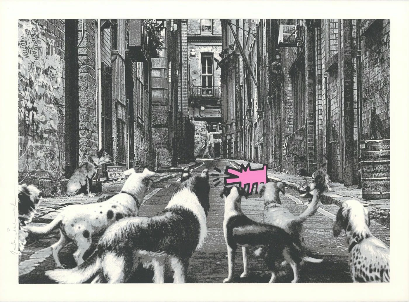 Alley Dogs - Set Completo 7 Alley Dogs - Set Completo - immagine 5