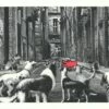 Alley Dogs - Rosso -DEODATO Saldi mr.brainwash alleydogs red 22x30 ep22 p