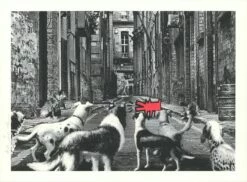 Alley Dogs - Set Completo 14 Alley Dogs - Set Completo -DEODATO Saldi mr.brainwash alleydogs red 22x30 ep22 p 1