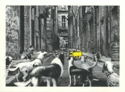 Alley Dogs - Giallo