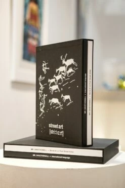 Cofanetto Deluxe Edition Mr.Savethewall