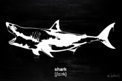 Shark