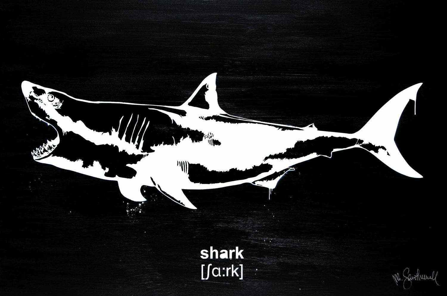 Shark 3 Shark