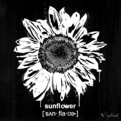 Girasole