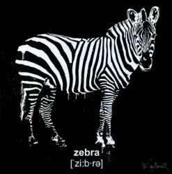 Zebra