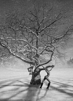 Shennai Saunders (Southampton), 2014