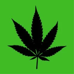 Unmistakable Mary UV